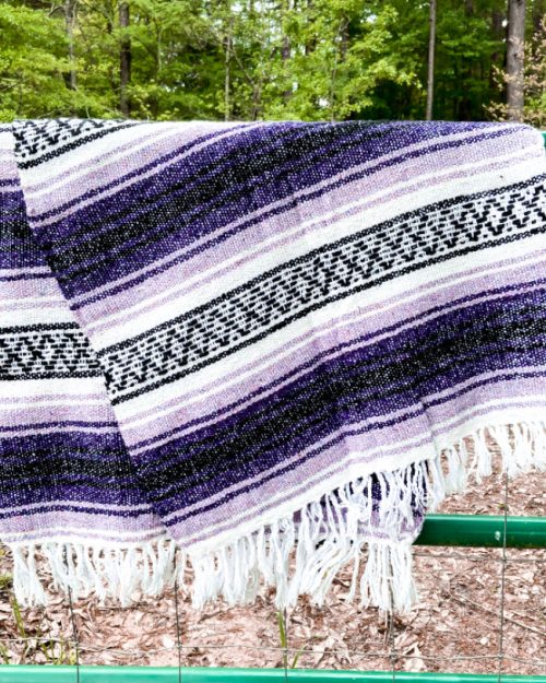 Picnic Blankets