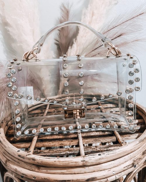 Diamond Stud Clear Purse